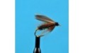 Leadwing Coachman Wet Fly