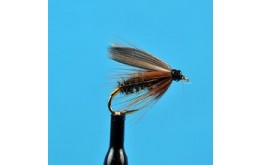 Leadwing Coachman Wet Fly