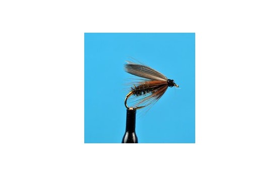 Leadwing Coachman Wet Fly