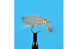 Burnt Wing Light Hendrickson