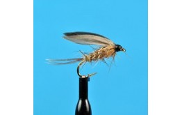 March Brown Wet Fly