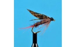 Montreal Wet Fly