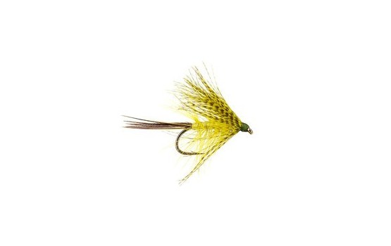 Olive Hackled Mayfly