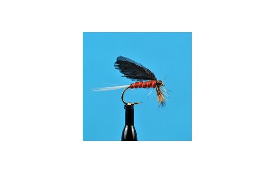 Burnt Wing Slated Winged Mahogany