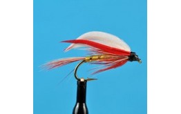 Parmachene Belle Wet Fly