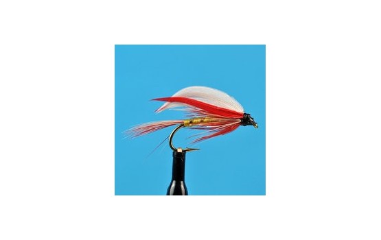 Parmachene Belle Wet Fly