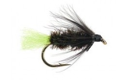 Peacock Spider Green Tag