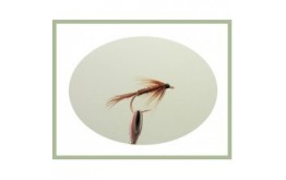 Pheasant Tail Wet Fly