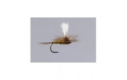 BWO Parachute