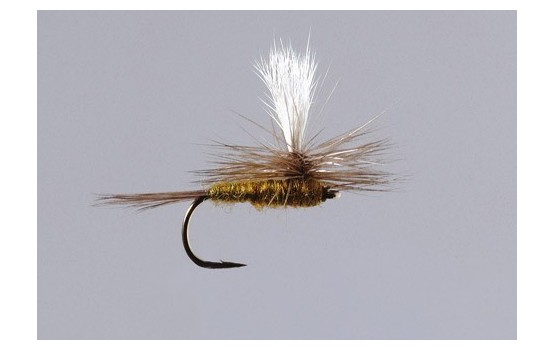 BWO Parachute