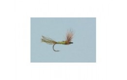 BWO Sparkle Dun Biot