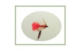 Soldier Palmer wet fly