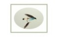 Teal Blue and Silver Wet Fly