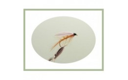 Whickhams Fancy Wet Fly