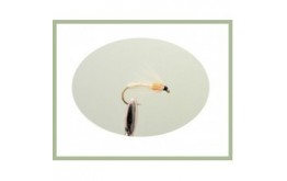 White and Orange Spider