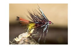 YellowArsedClaretBumble