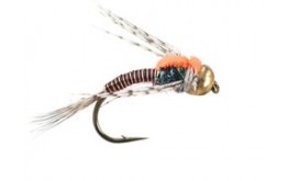 Ales Black Copper Jolly