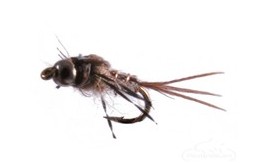 Anatomic Nymph Hares Ear