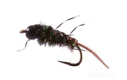 Anatomic Nymph Peacock