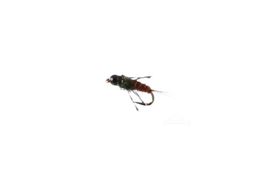 Anatomic Nymph Pheasant Tail