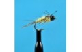 Bead Head Anatomic Nymph