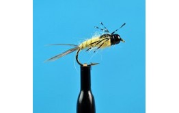 Bead Head Anatomic Nymph