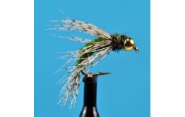 Bead Head Bird Of Prey   Olive