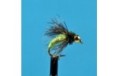 Bead Head Caddis Chartreuse