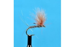 CDC Biot Compara Dun Adams