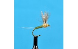 CDC Biot Compara Dun BWO