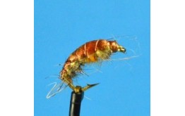 Bead Head Czech Nymph Orange Back