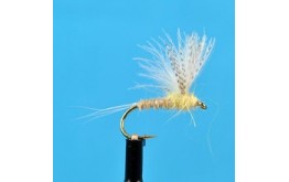 CDC Biot Compara Dun Light Cahill