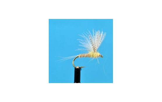 CDC Biot Compara Dun Light Cahill