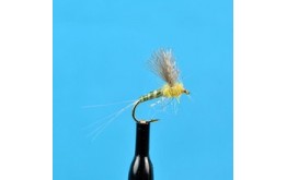 CDC Biot Compara Dun PMD