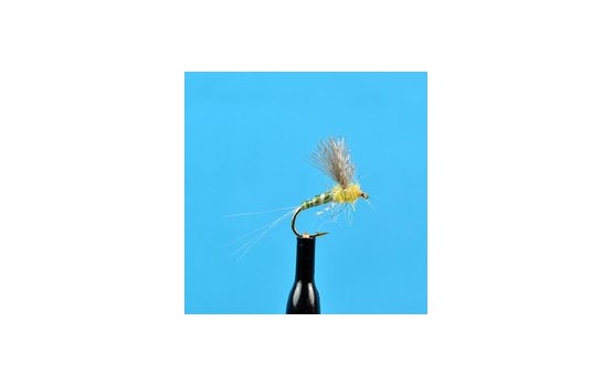 CDC Biot Compara Dun PMD