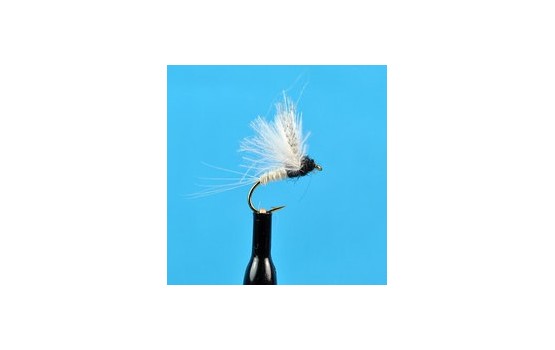 CDC Biot Compara Dun Trico Female