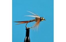 Bead Head Hot Wired Prince Red Chartreuse