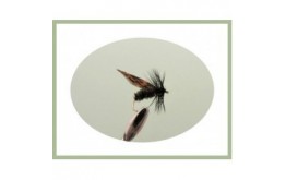 Alder Dry Fly