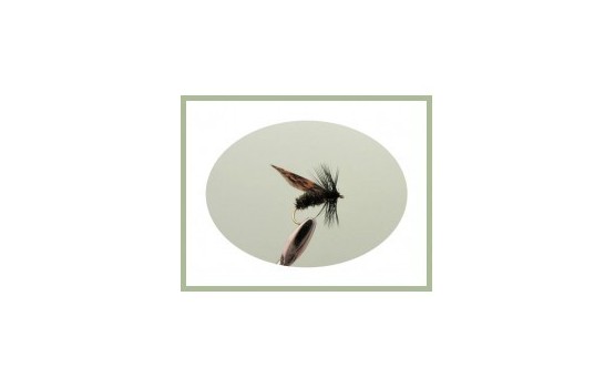 Alder Dry Fly
