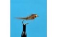 Bead Head March Brown Soft Hackle Olive