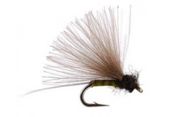 CDC Biot Comparadun Olive