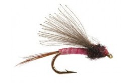 CDC Biot Comparadun Pink Dun