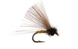 CDC Biot Comparadun Yellow Dun