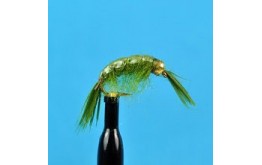 Bead Head Scud Olive