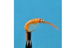 Bead Head Scud Orange