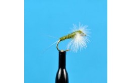 CDC Biot Spinner BWO