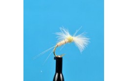 CDC Biot Spinner Light Cahill