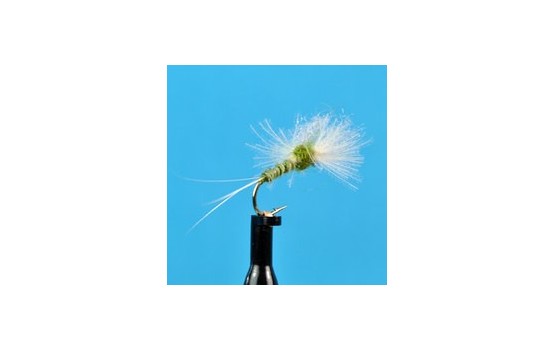 CDC Biot Spinner PMD