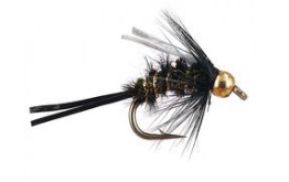 BH CN Fastwater Prince  Black