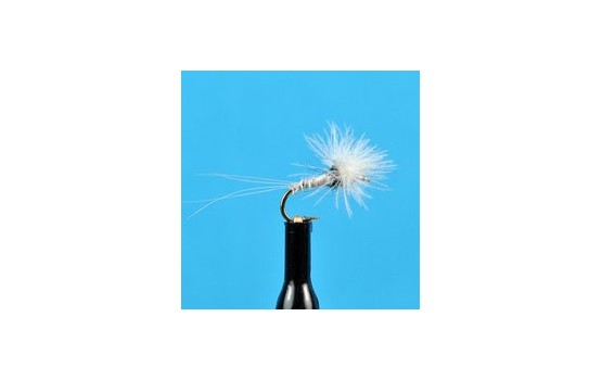 CDC Biot Spinner Trico Male